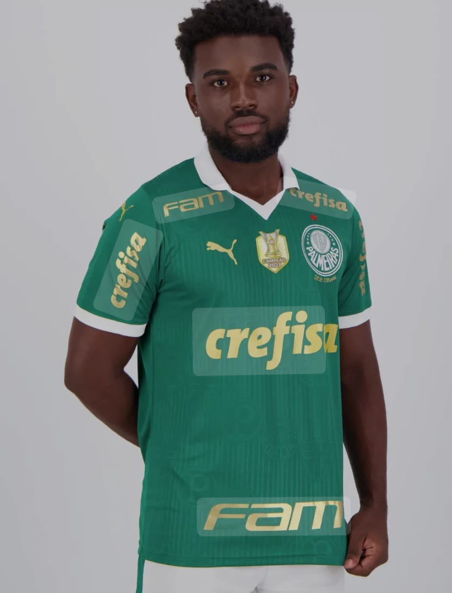 Camiseta Time de Futebol - Palmeiras