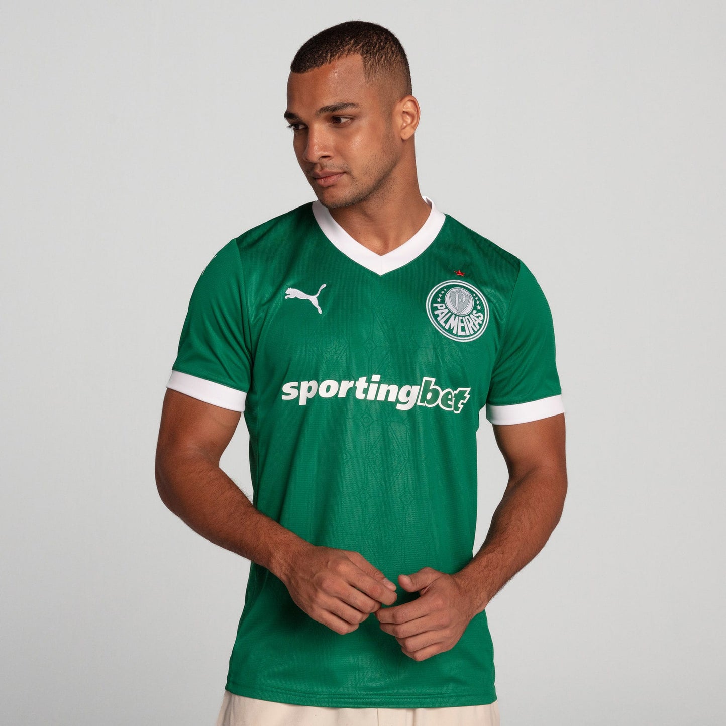 Camiseta time Palmeiras Oficial 2025
